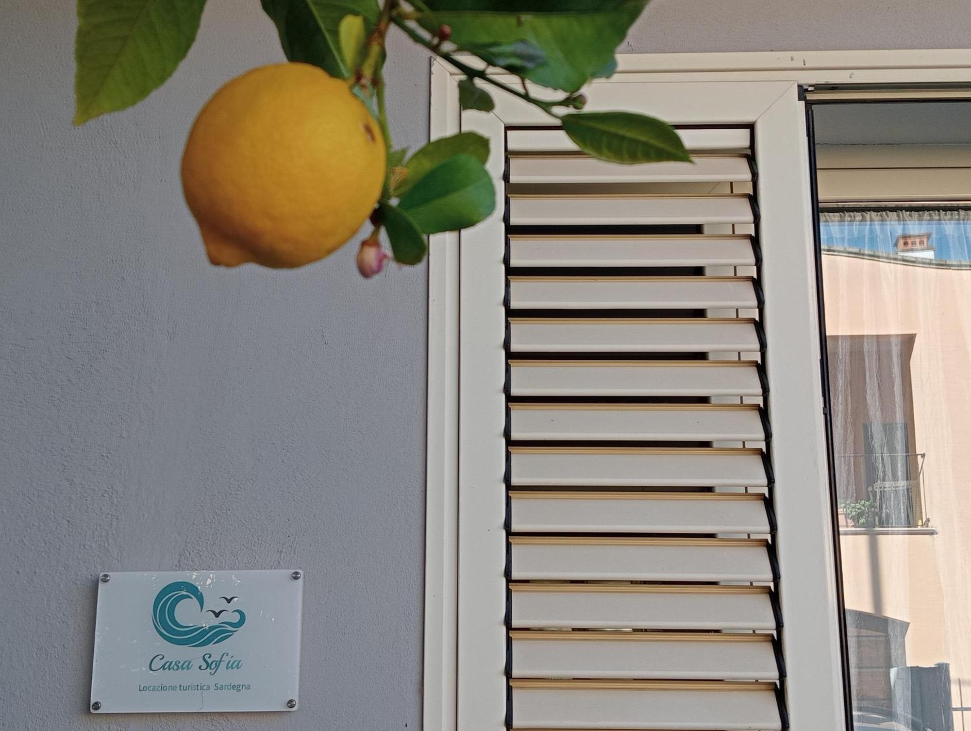Casa Sofia Apartment Tertenìa Exterior foto